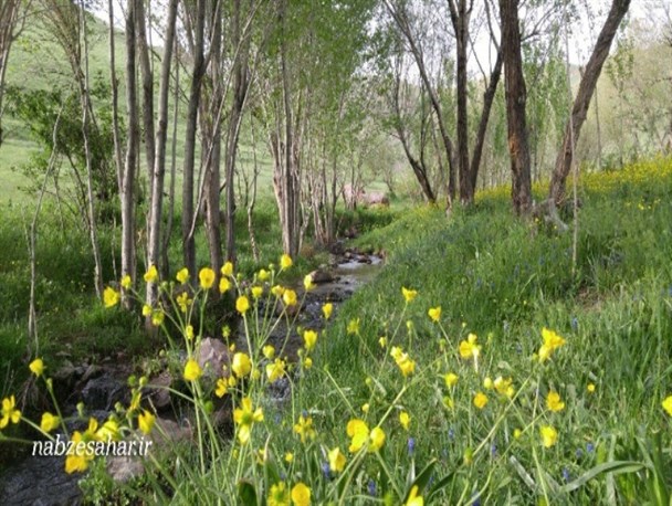 طبیعت زیبای بهاری خرمدره در ماه اردیبهشت+تصاویر