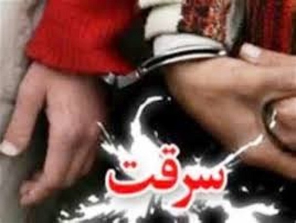 باند بزرگ سارقان منارل در تربت حیدریه متلاشی شد