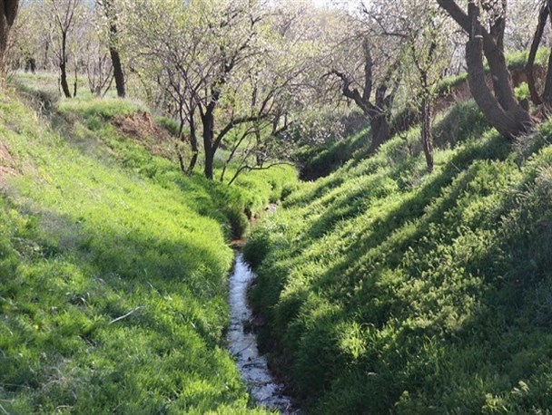 تصاویری زیبا از طبیعت بهاری فراهان