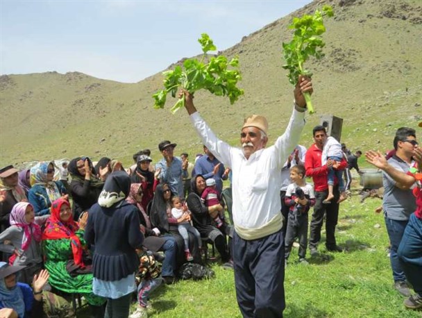 برگزاری همایش کوهنوردی و جشن ریواس در روستای راوه دلیجان+تصاویر