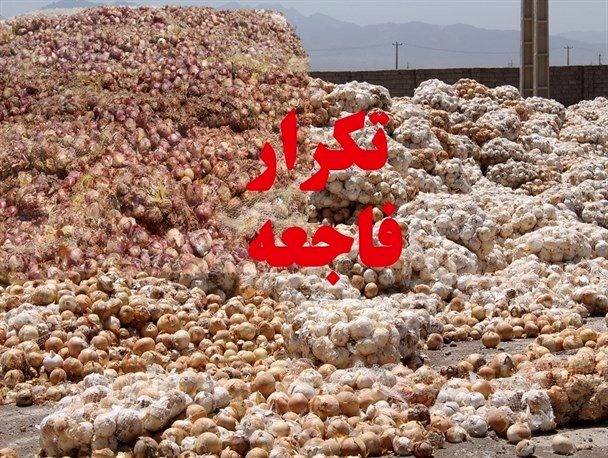 عدم تخصص وزارت صمت عامل آشفتگی بازار تره بار/ دریافت عوارض، تدبیری که مسیر صادرات محصولات کشاورزی را متوقف کرد