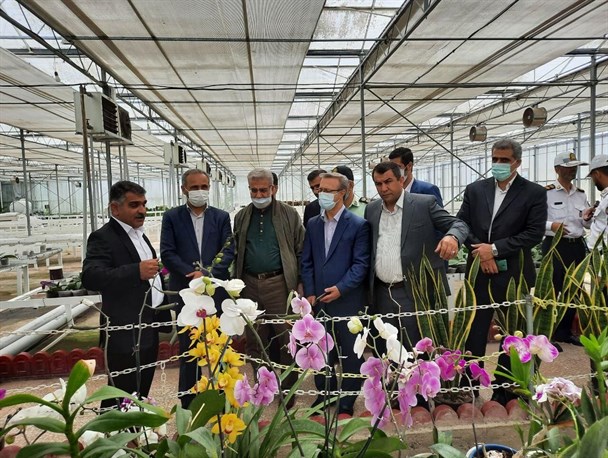 افزایش نرخ بازده داخلی با مشارکت بخش خصوصی و دولتی/ تنها از ۴۰ درصد ظرفیت دانش‌بنیان در کشور استفاده می‌شود