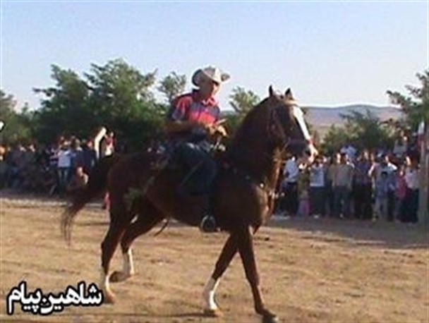 مسابقه اسب سواری در شاهین دژ +تصاویر