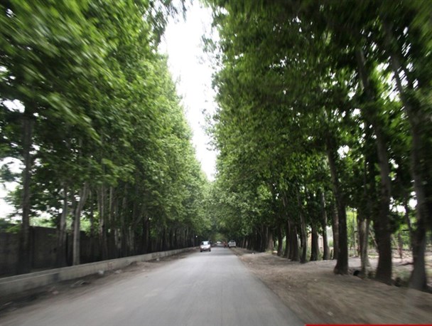 تصاویر چشم نواز از جاده های تابستانی در غرب ترین نقطه تهران