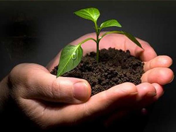 باید از لحاظ روحی هم برای معتادان برنامه داشت / ضرورت حمایت از نجات یافتگان از دام اعتیاد