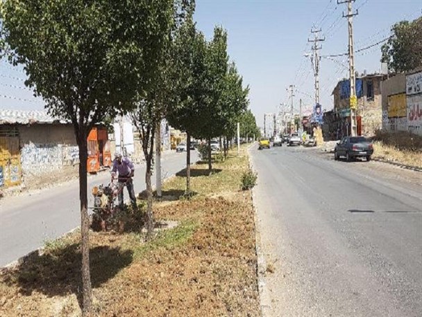 ابتکار شهرداری در مدیریت خشکسالی وصرفه جویی در مصرف آب/طرح جایگزینی گیاهان‌پوششی کم مصرف به جای چمن در یاسوج آغاز شد