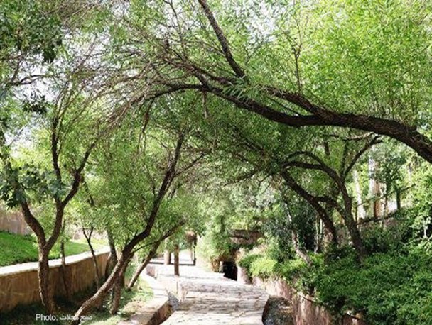 طبیعت سرسبز و زیبای پارک سرچشمه محلات+عکس