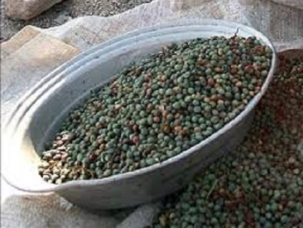 آب بنه غذای محلی حاجی آباد+خاصیت درمانی