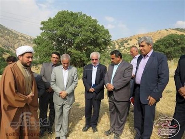 تدوین اولین سند گیاهان داروئی کشور در دانشگاه یاسوج/ ایجاد بسترهای لازم برای اشتغال فارغ التحصیلان گیاهان داروئی