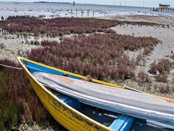 عمر «خلیج گرگان» کوتاه‌تر از احیای آن است/ سرنوشت تلخ مردم منطقه پس از خشکی خلیج