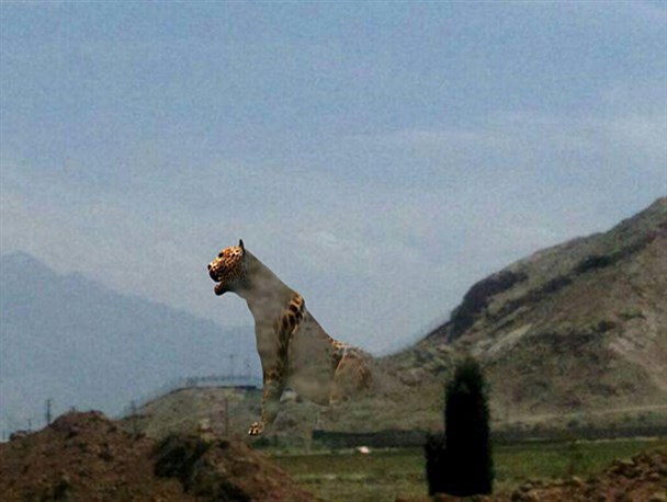 پیشنهاد جالب هنرمند راوری به زیبا سازی شهر کرمان
