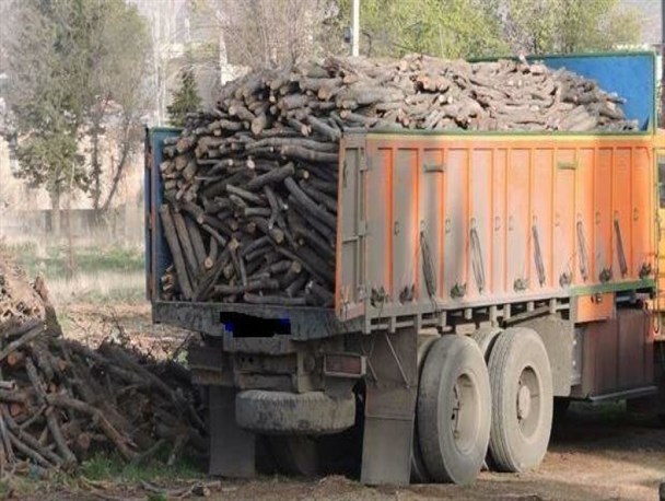 ۳ تُن چوب قاچاق در مهاباد کشف شد