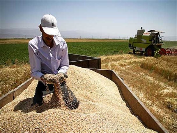 کلید قفل پول گندم دست چه کسی است؟