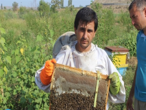 اشتغالزایی شیرین جوان اصلاندوزی در مسیر اقتصاد مقاومتی+عکس و فیلم