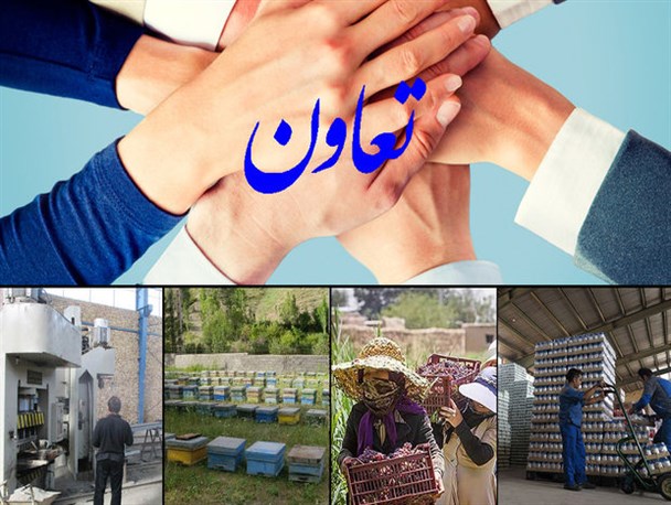 پرداخت ۳۲ میلیارد تومان تسهیلات روستایی به تویسرکانی ها/ رفتن به سمت رونق تولید با بها دادن به تعاونی ها