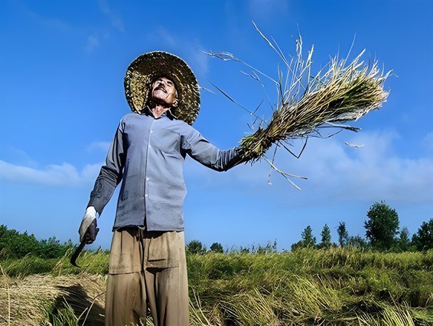 عدم استراحت و مصرف کم مایعات علت بروز گرمازدگی/ خطر سکته با مصرف آب یخ در زمانی که دمای بدن بالا است