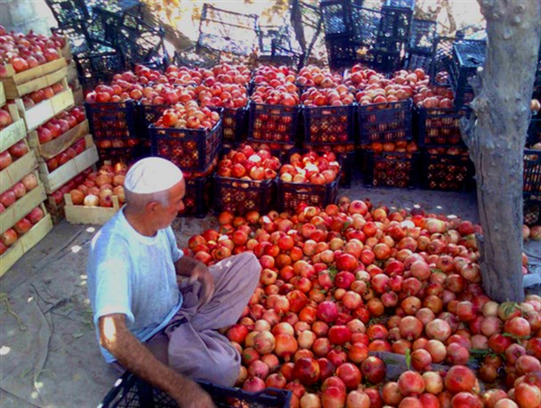 اسپر،سرزمین یاقوت های سرخ در گچساران+تصاویر