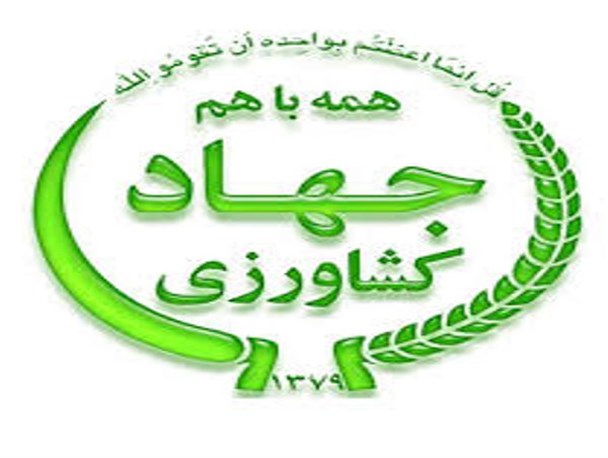 برگزاری کارگاه آموزش مبارزه و کنترل نماتد سیست طلایی سیب زمینی در بهار