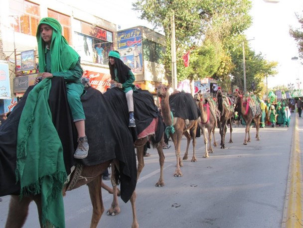 ورود نمادین کاروان امام حسین (ع) به کربلا+ عکس