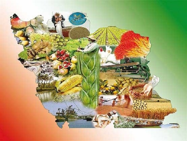 پیش بینی و خودباری رمز عبور از مشکلات