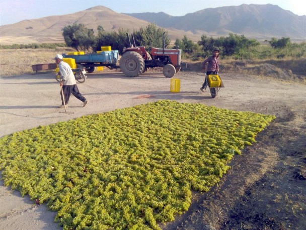 اهالی روستای محمود آباد؛ نیازمند توجه مسئولین هستند