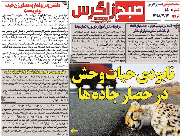 حیات وحش پشت حصار جاده ها/ بداقبالی یک فرودگاه/شهید جریان زندگی