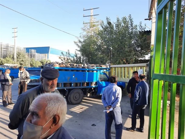 روستانشینان چالوس با کمبود گاز مایع به استقبال سرما می روند!