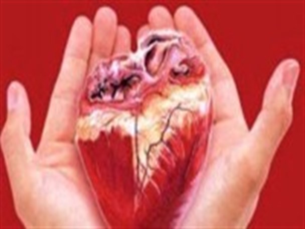 اهدای اعضای جوان فاضل آبادی به بیماران نیازمند