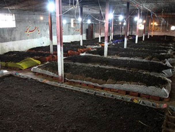 خبر خوش برای تولید کنندگان ورمی کمپوست استان اردبیل