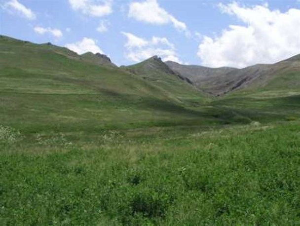 کشت محصولات فرعی در مراتع مهرستان ممنوع است