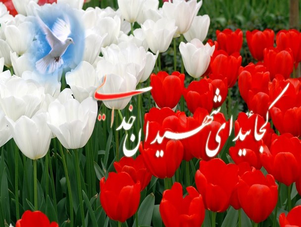 دیدار دانش آموزان شهرستان میرجاوه با خانواده شهدا درلادیز