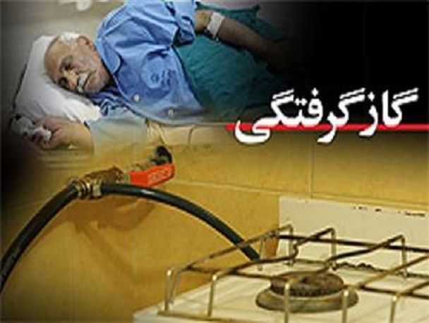 3 نفر در اثر گاز گرفتگی در کهگیلویه و بویراحمد جان باختند