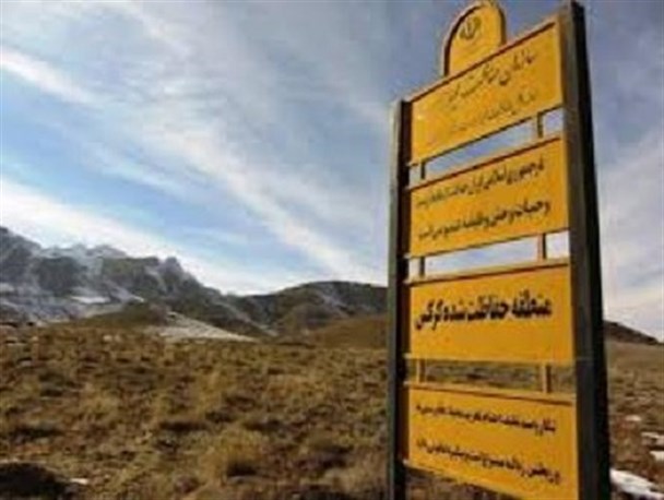 متخلفان شکار و صید در منطقه حفاظت شده کرکس نطنز دستگیر شدند