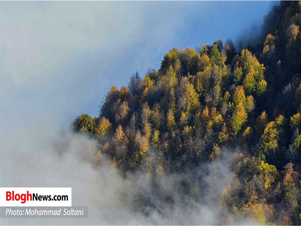 مازندران دیار مردمان خون‌گرم