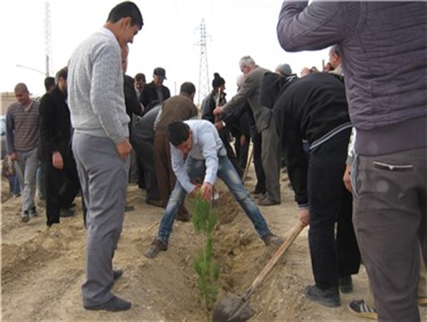 اجرای طرح جام در ۲۰۰ هکتار از اراضی دیباج شهرستان دامغان