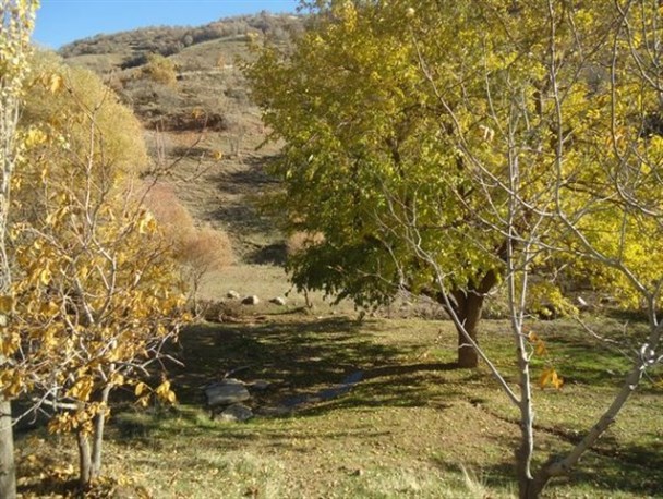 تصاویر زیبای پاییزی از منطقه سوریر در حاشیه شهرستان جوانرود