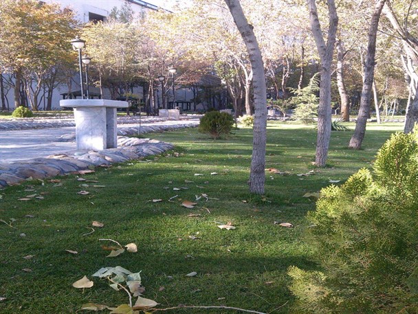 فضای سبز شهر بومهن