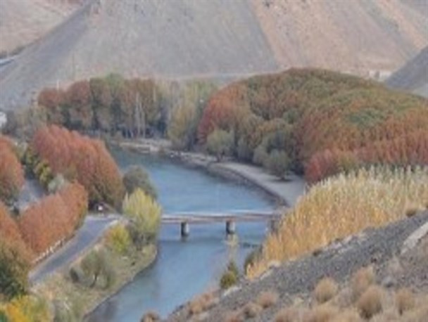 بهار آینده میزان قابل توجهی گندم در اصفهان برداشت می شود