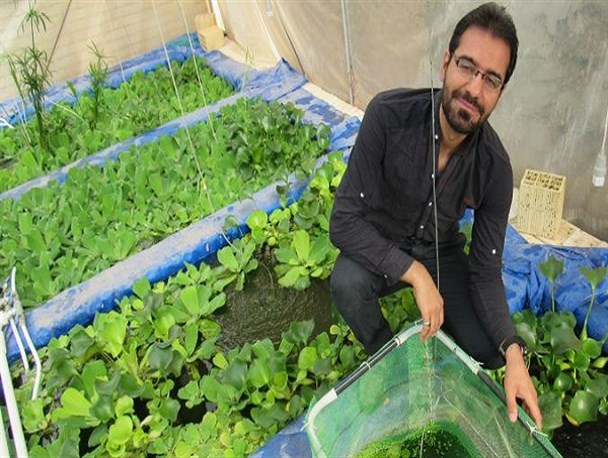 تولید پنج هزار ماهی زینتی در ماه/ مسئولان بر تأمین مکان مناسب برای مشاغل خانگی اهتمام ورزند