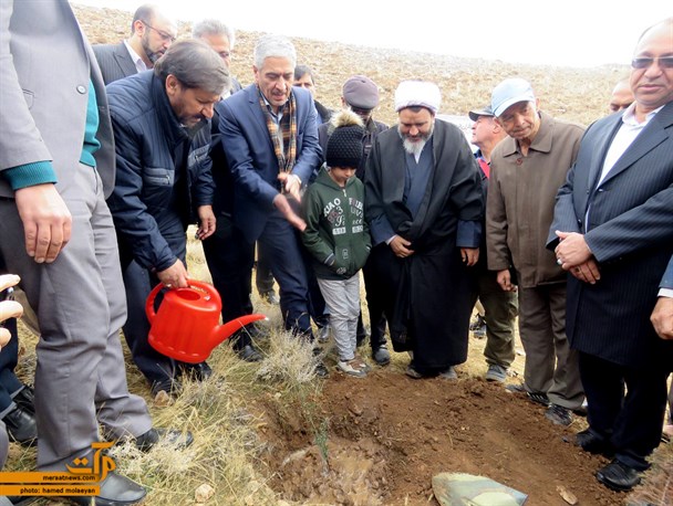 آئین نهال کاری همگانی برای ایرانی سرسبز