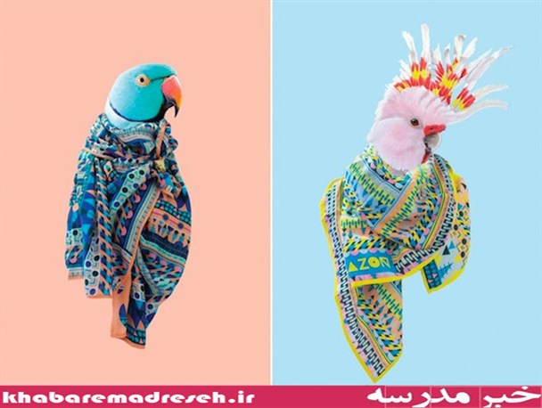 مدل شال گردن برای پرندگان+تصاویر