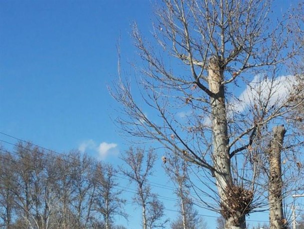 آسمان کرج رنگ آبی به خود گرفت