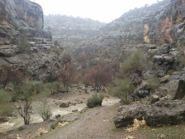 عکس: پس از باران در پاسارگاد