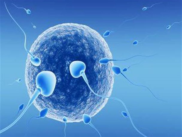 از جلسات پرشور کمیته مقابله با «ایدز» تا اتاق متروک کمیته «ناباروری»