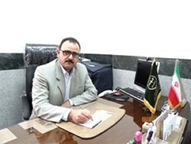 پلاک کوبی بیش از 3 هزار راس دام سنگین در شهرستان درمیان