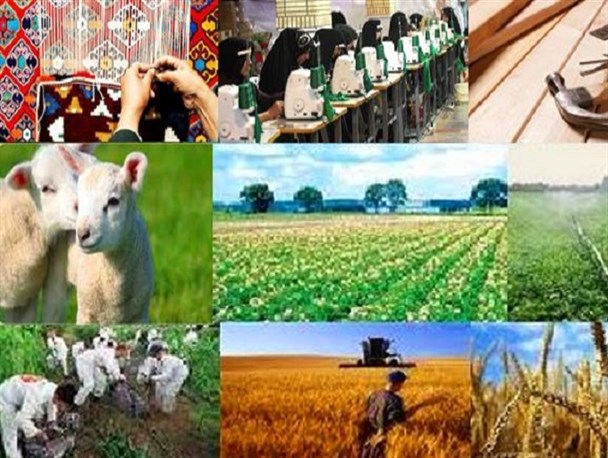 رونق بخشی ۲۴ شرکت نوآور به کسب و کار روستایی، طی سه سال اخیر/ فروش محصولات در بازارهای ملی و بین المللی