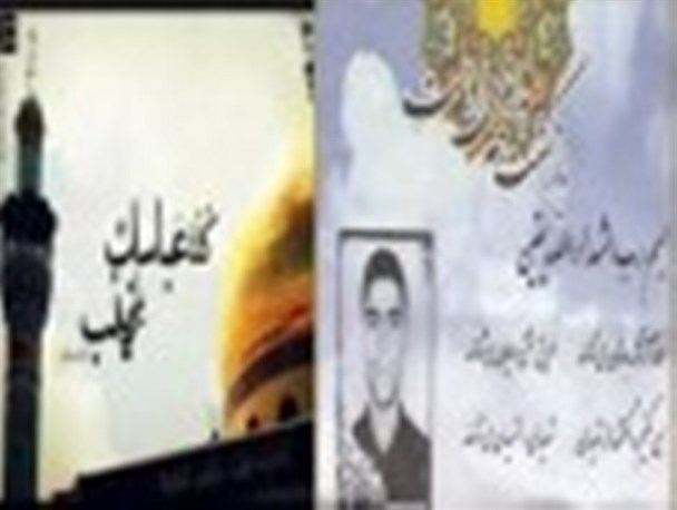 عشق به حرم محرومیت نمی شناسد/برادرم عطش شهادت داشت