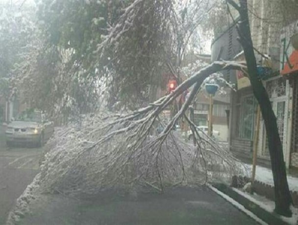 وقوع ۷۰ حادثه در پی بارش برف در مشهد/ آماده باش ۴۸ ایستگاه آتش نشانی