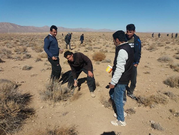 اجرای طرح جنگلانه در روستای دهچاه