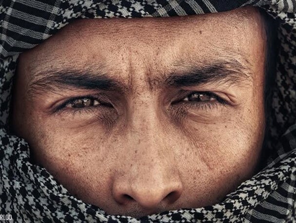 روز «تاریخی» جشنواره سی‌وهشتم/ روایت «دفاع» از آبادان تا آلمان